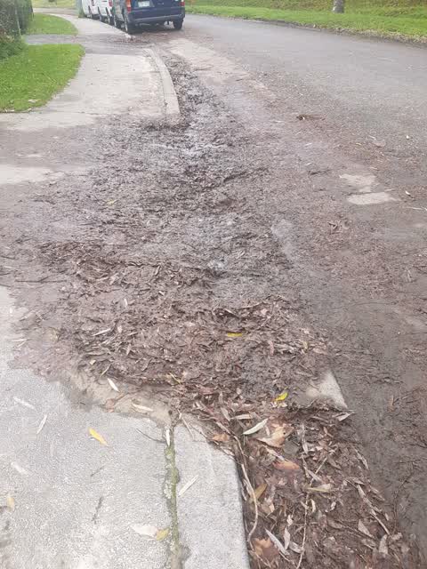 Roading/Streets, a report photo