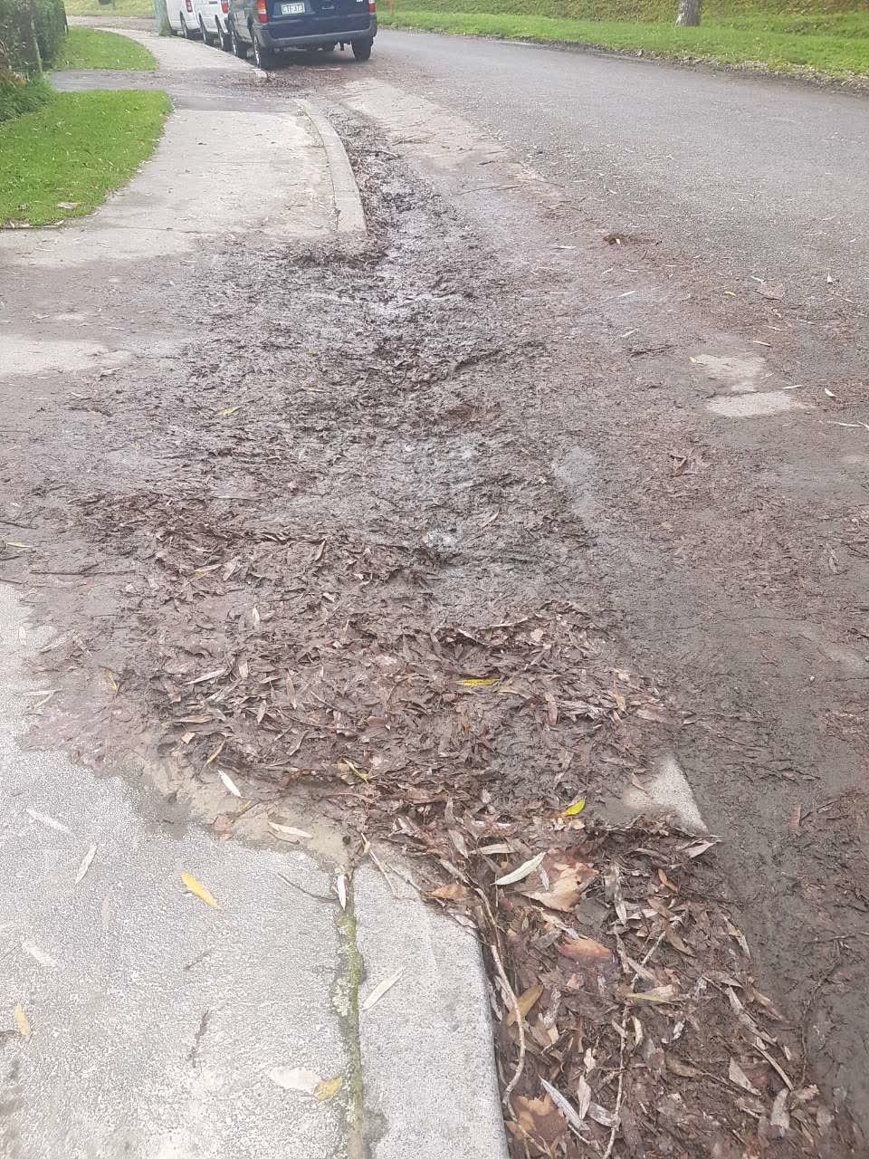 The photograph attached to this roading/streets report