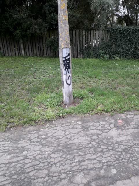 Graffiti, a report photo
