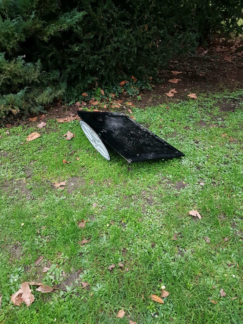 The photograph attached to this parks report