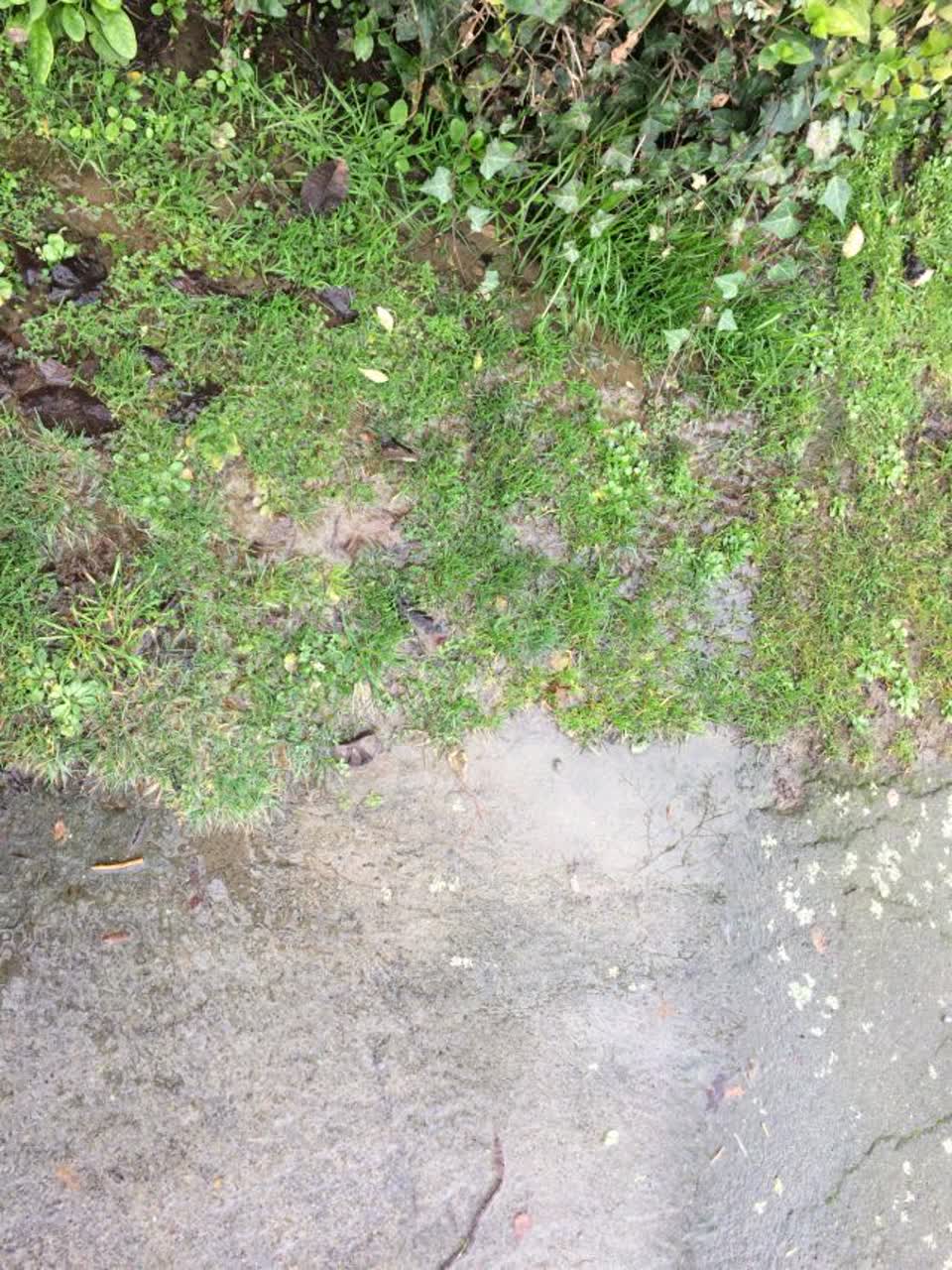 The photograph attached to this water supply report