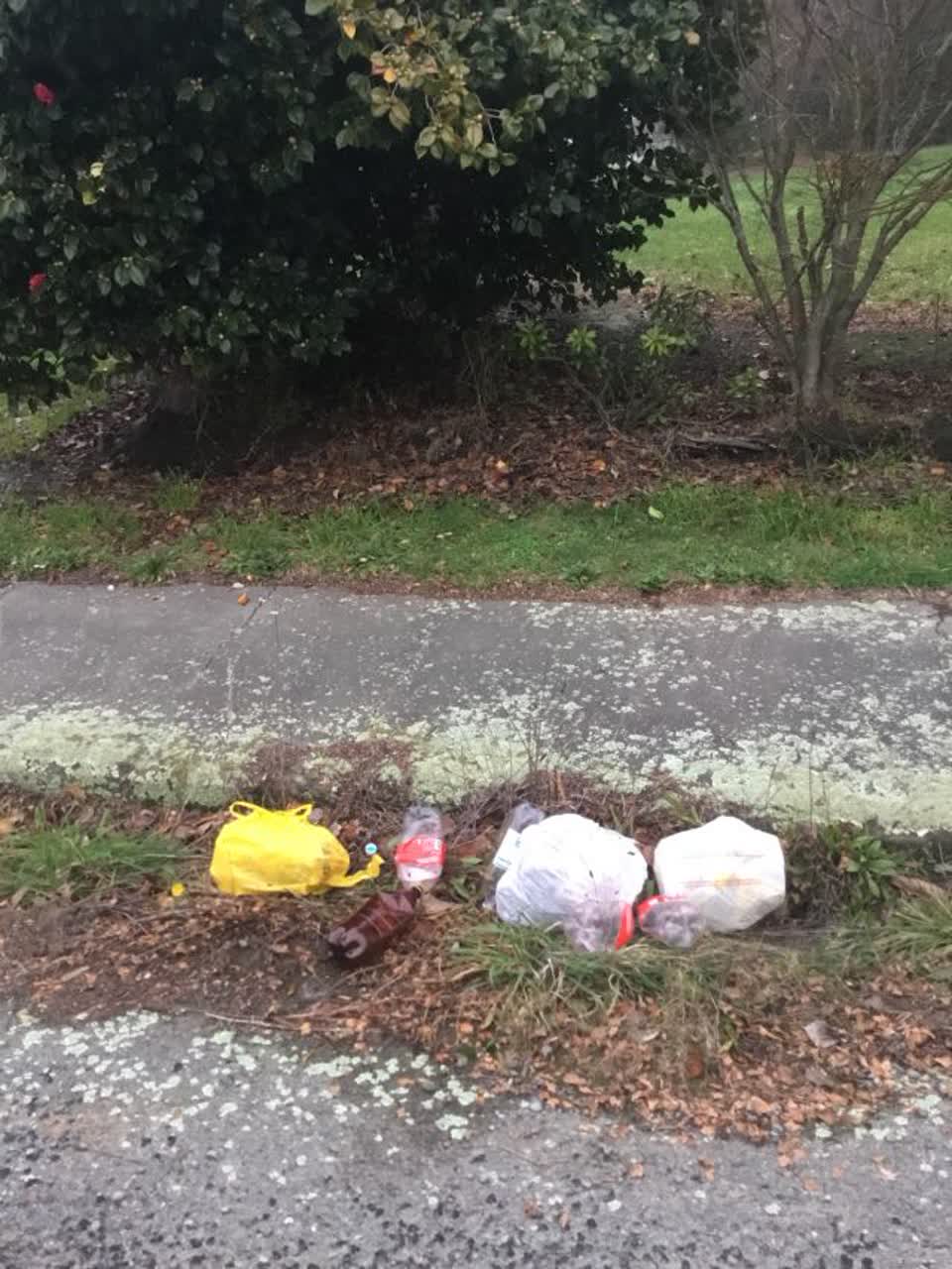 The photograph attached to this rubbish/recycling report