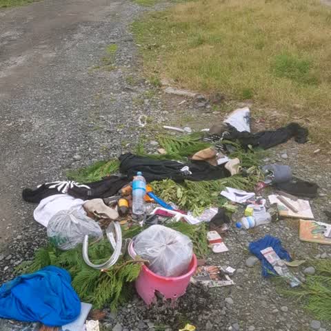 Parks, a report photo