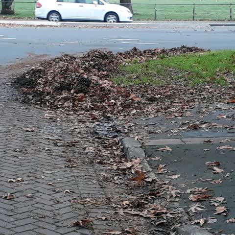 Roading/Streets, a report photo