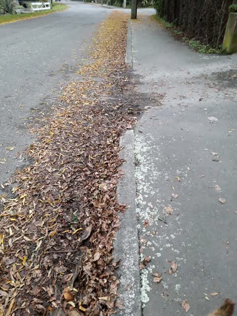 Roading/Streets, a report photo