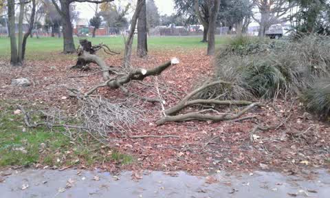 Parks, a report photo