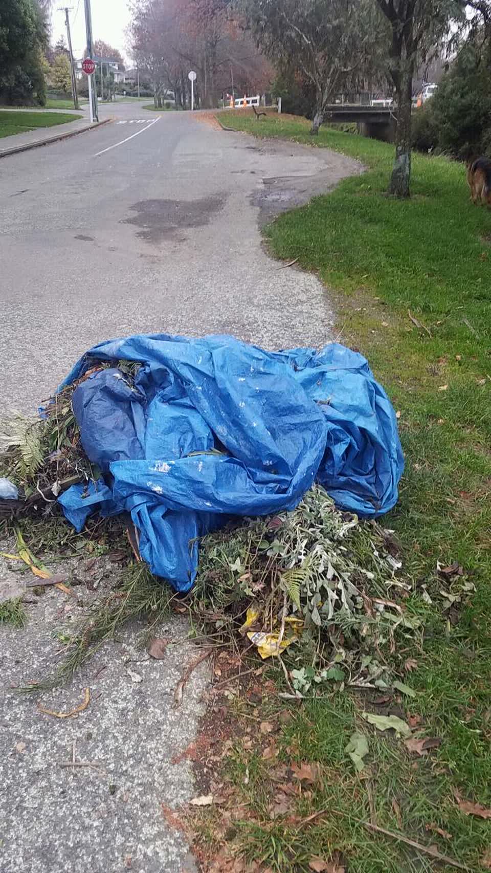 The photograph attached to this rubbish/recycling report