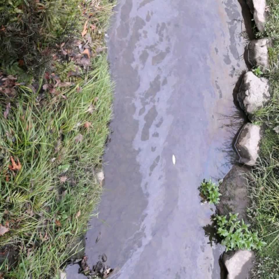 The photograph attached to this wastewater/stormwater report