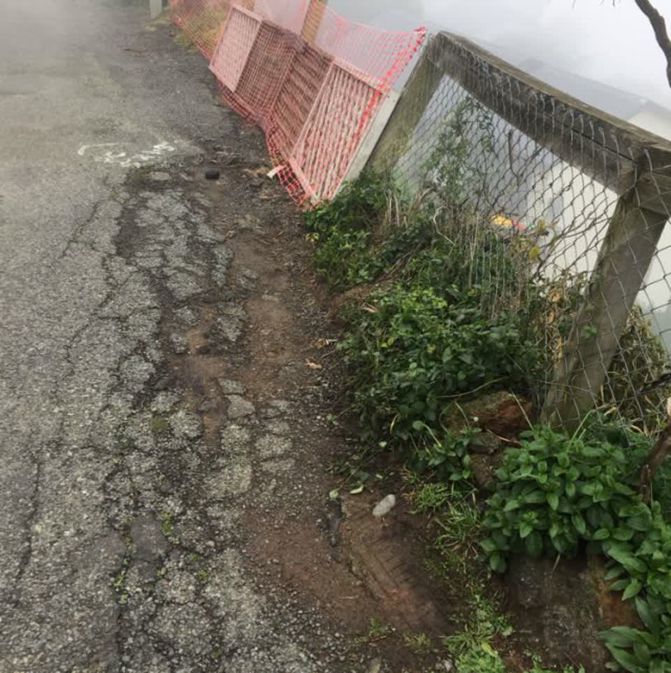 The photograph attached to this roading/streets report
