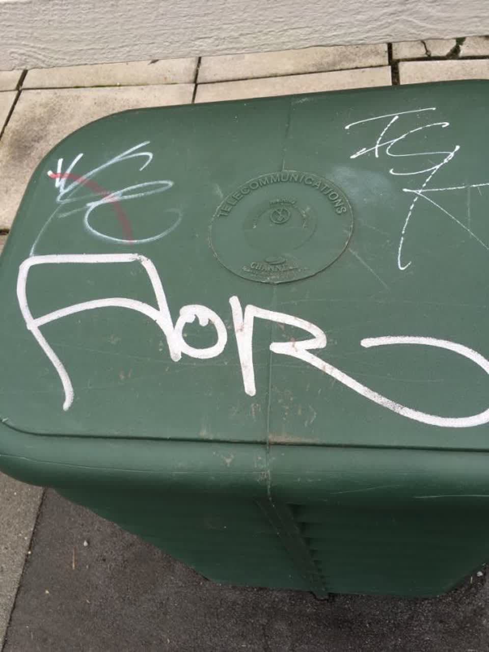 The photograph attached to this graffiti report