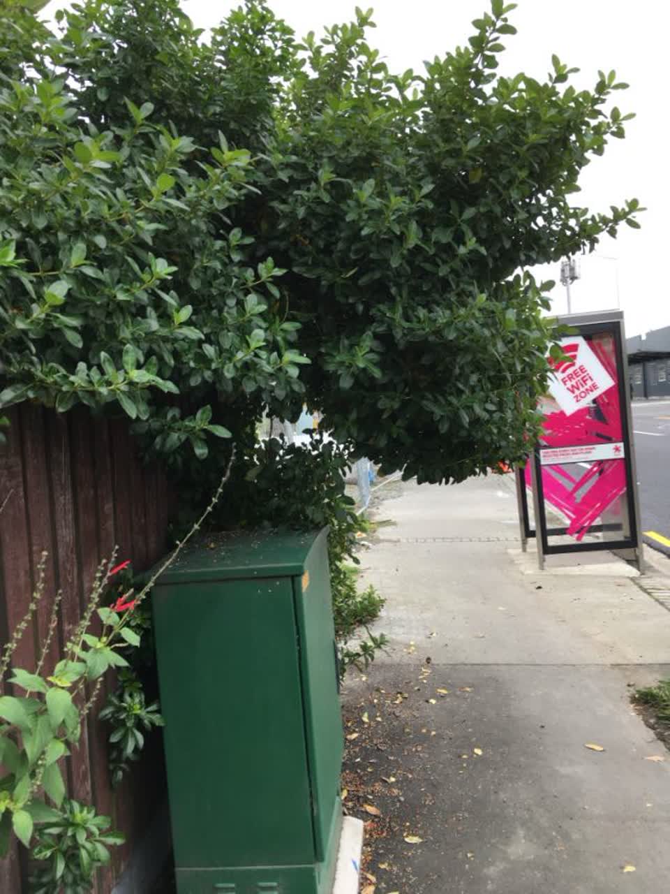 The photograph attached to this roading/streets report
