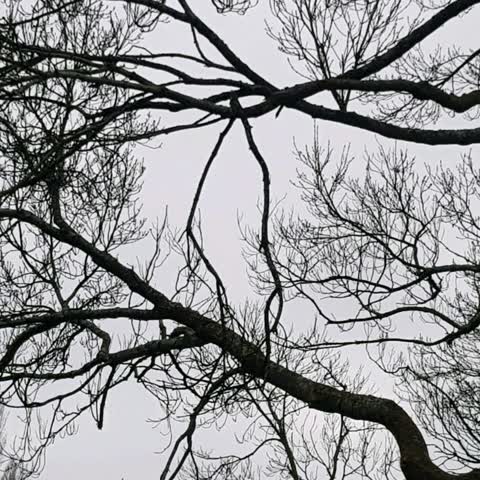 Roading/Streets, a report photo