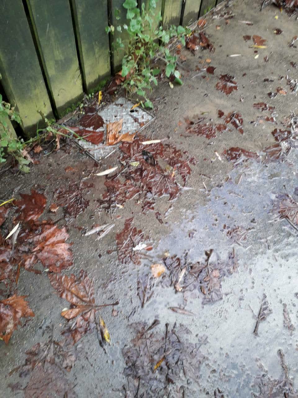 The photograph attached to this flooding report