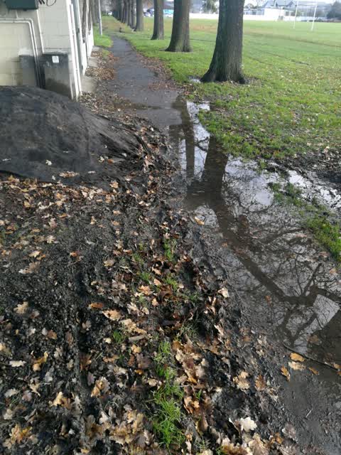 Parks, a report photo