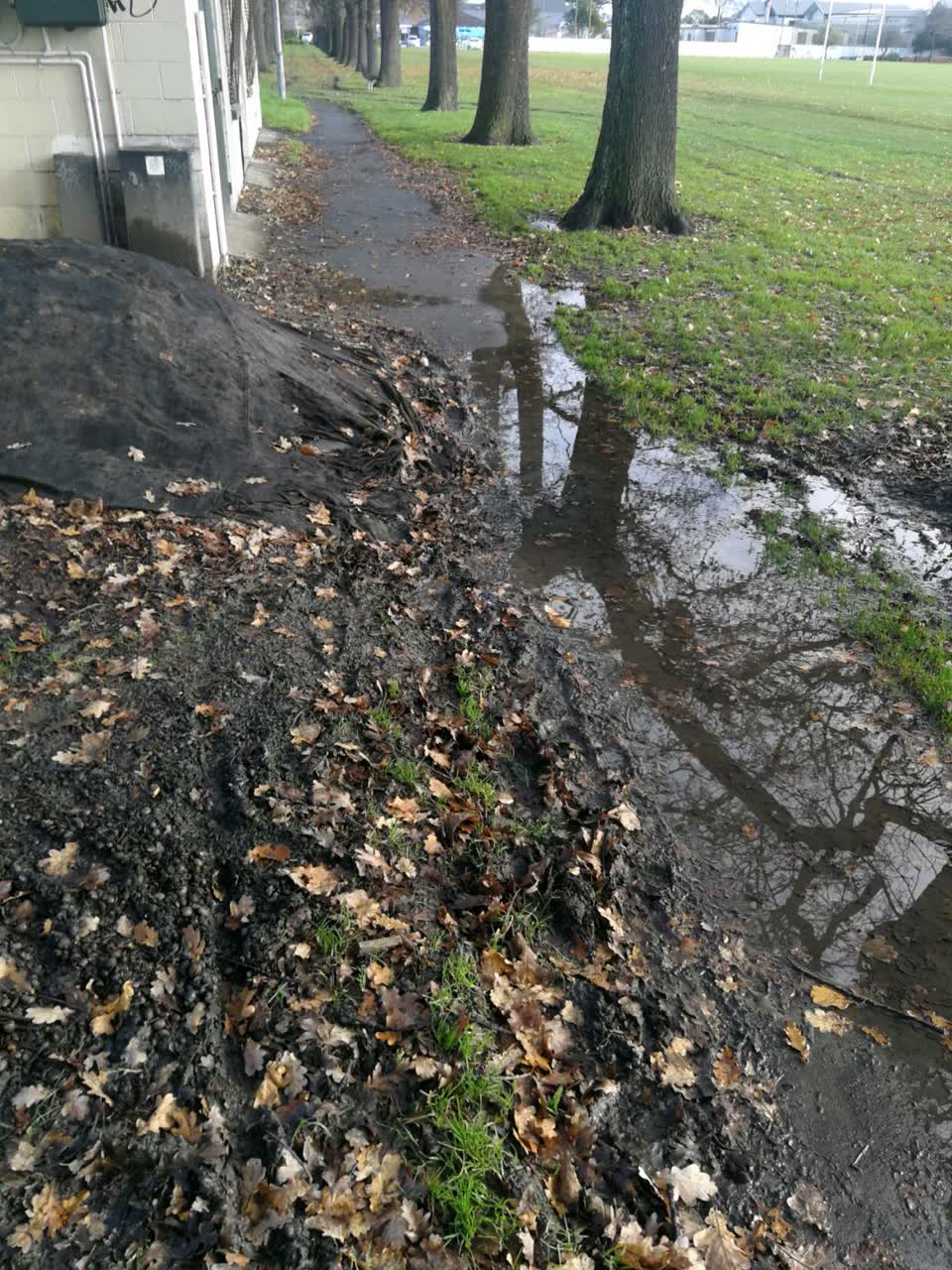 The photograph attached to this parks report