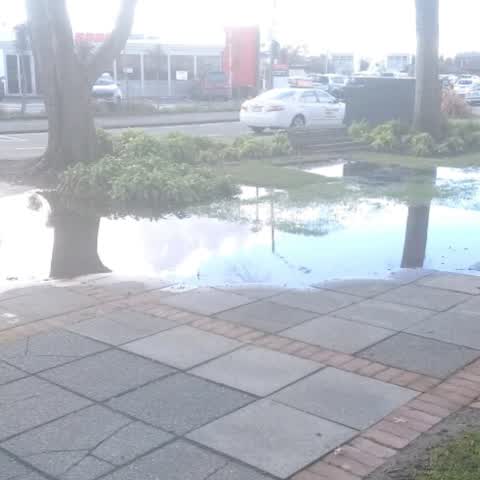 Flooding, a report photo