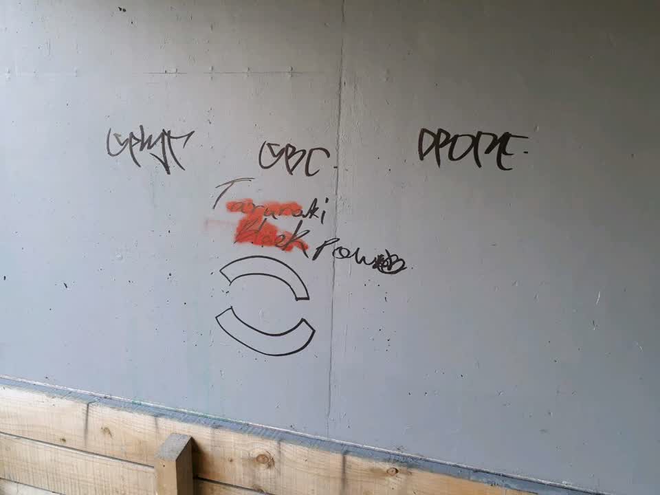 The photograph attached to this graffiti report