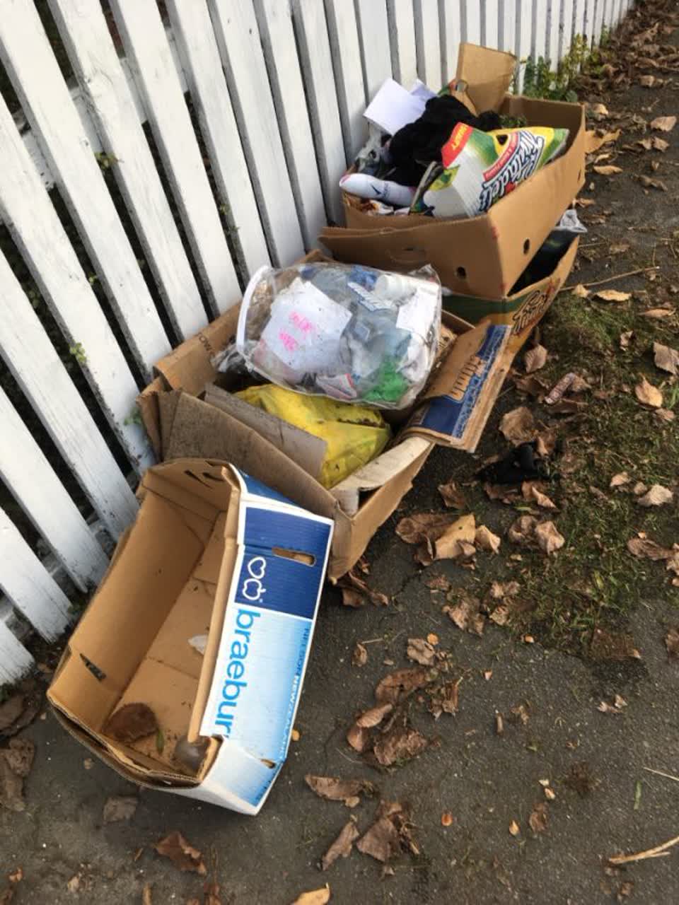 The photograph attached to this rubbish/recycling report