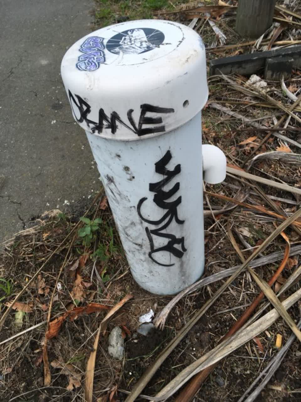 The photograph attached to this graffiti report
