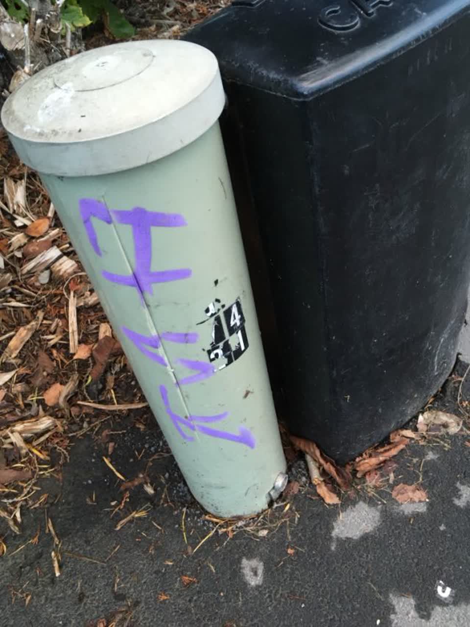 The photograph attached to this graffiti report
