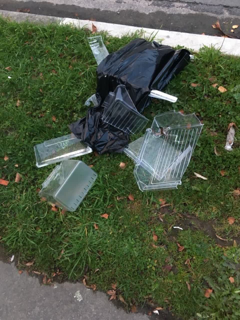 The photograph attached to this rubbish/recycling report