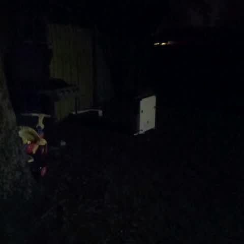 Rubbish/Recycling, a report photo