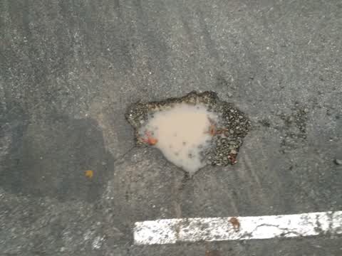 Roading/Streets, a report photo