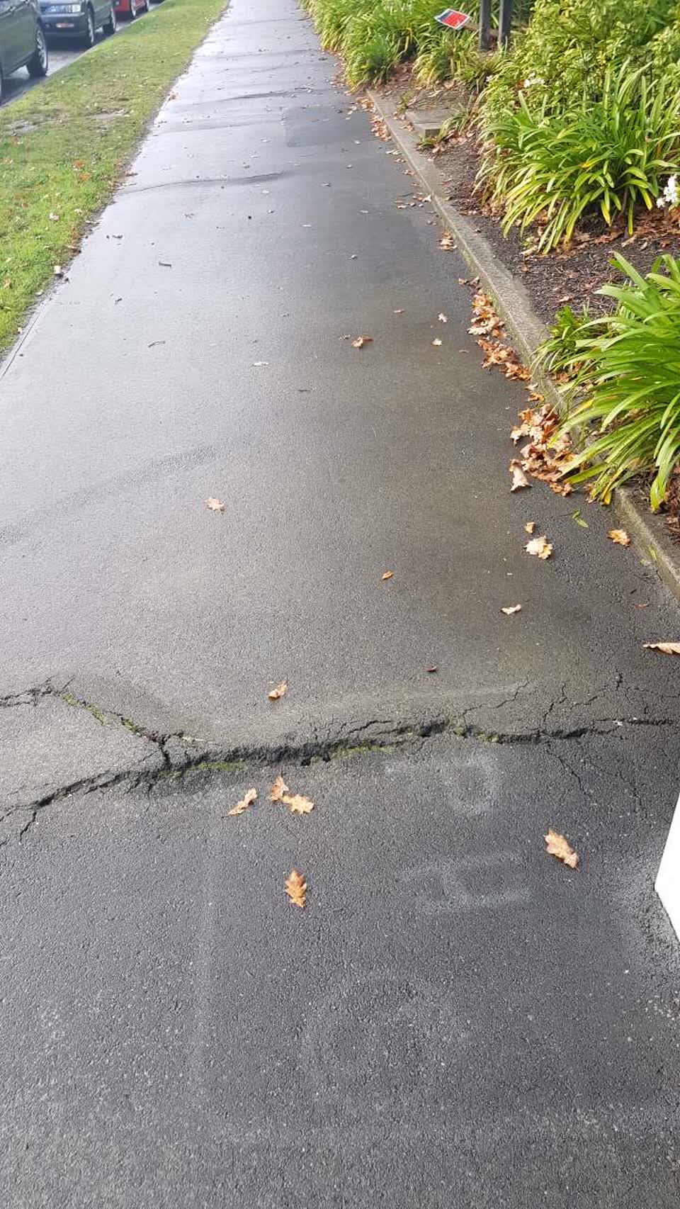 The photograph attached to this roading/streets report