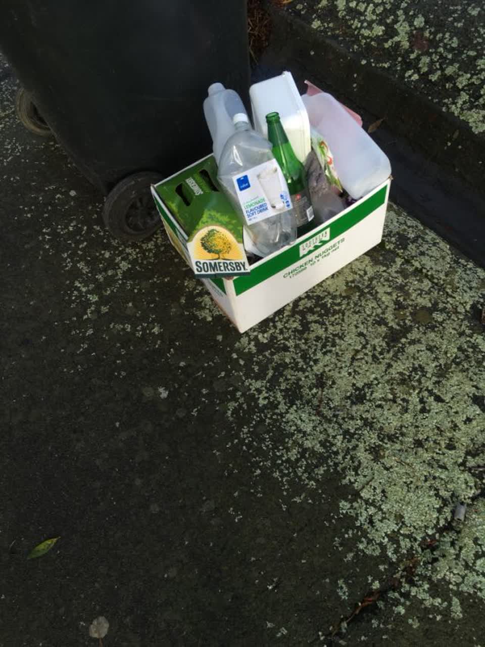 The photograph attached to this rubbish/recycling report