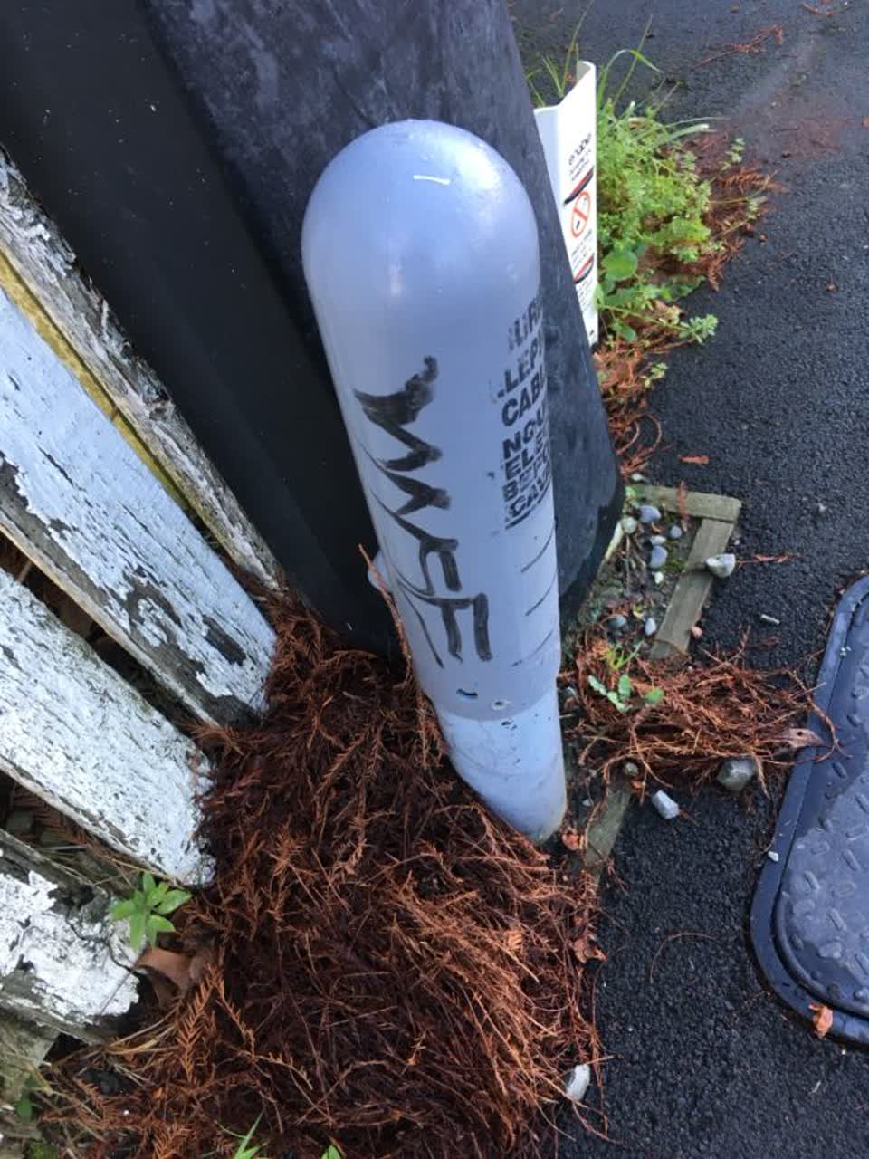 The photograph attached to this graffiti report