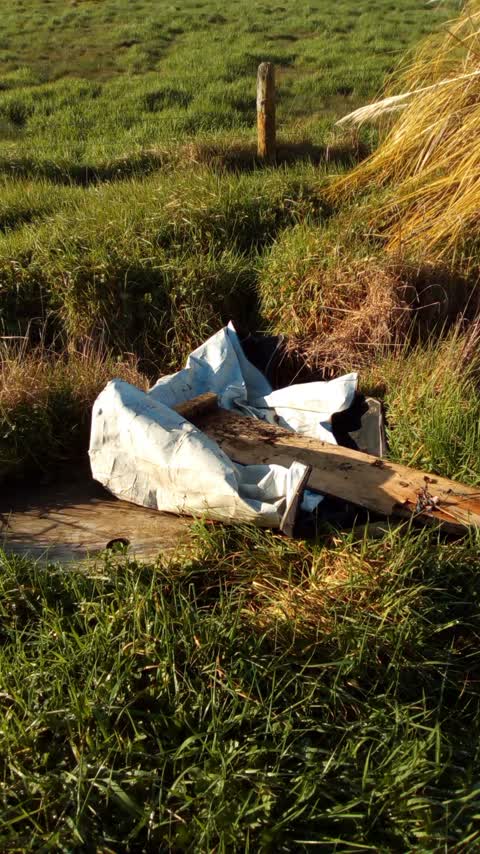 Rubbish/Recycling, a report photo