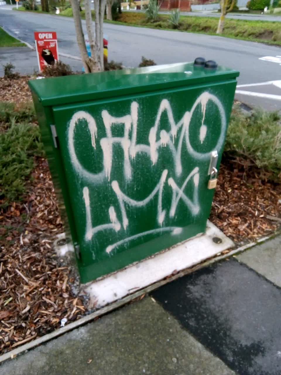 The photograph attached to this graffiti report
