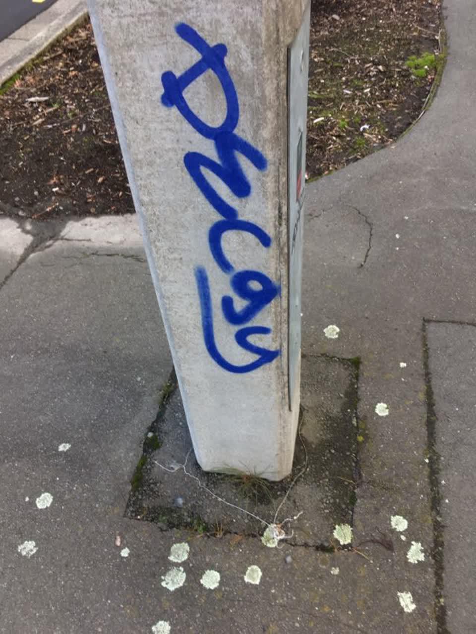 The photograph attached to this graffiti report