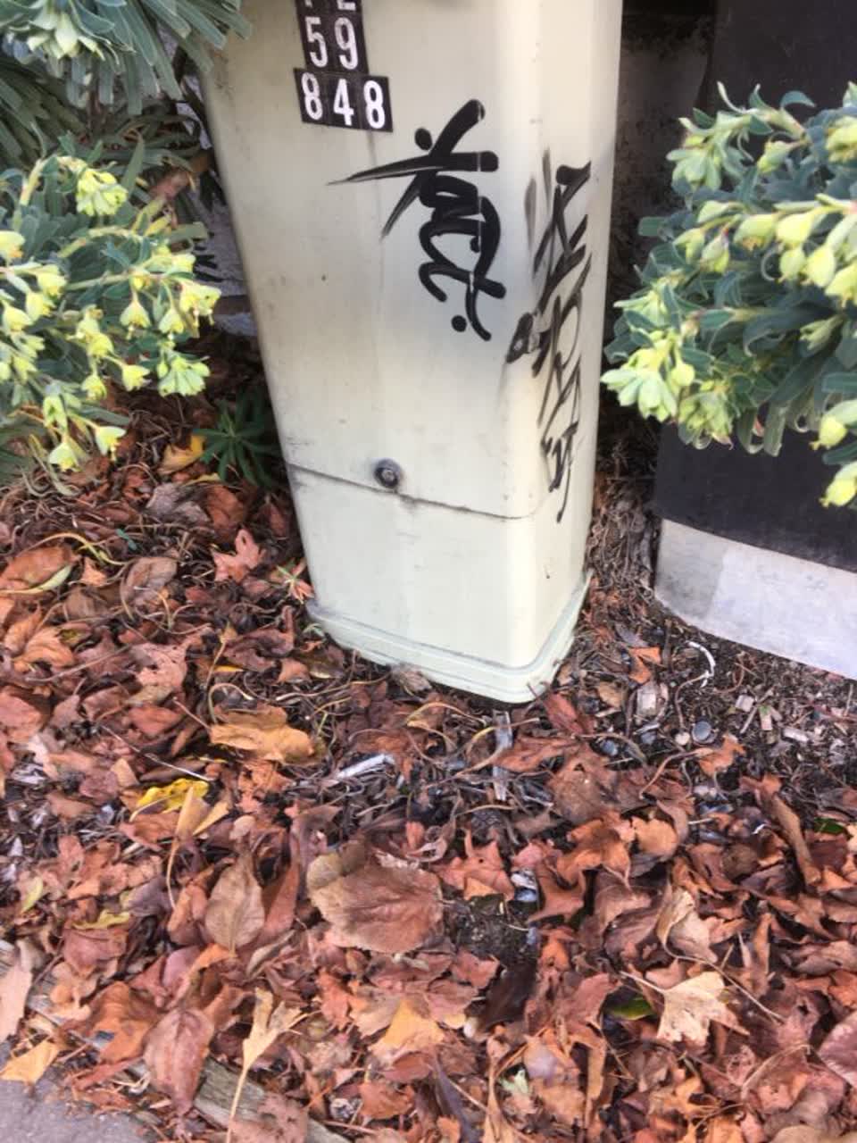 The photograph attached to this graffiti report
