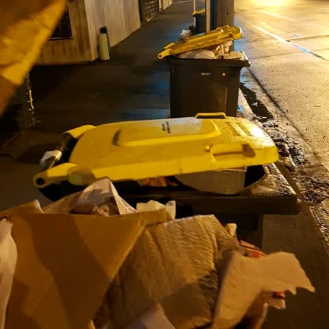 Rubbish/Recycling, a report photo