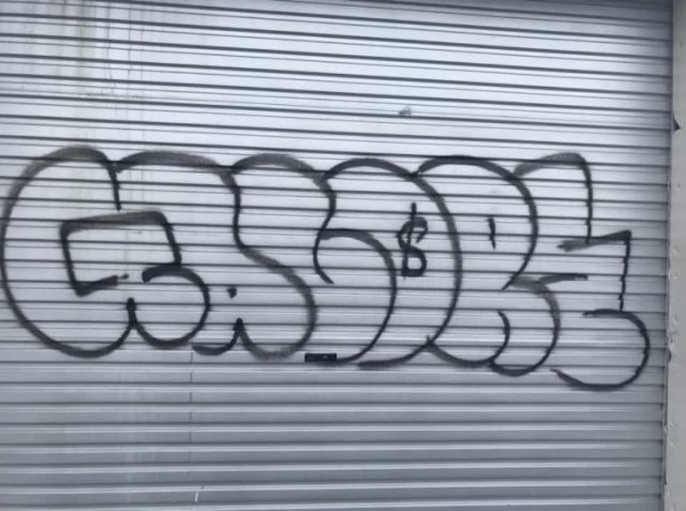 The photograph attached to this graffiti report
