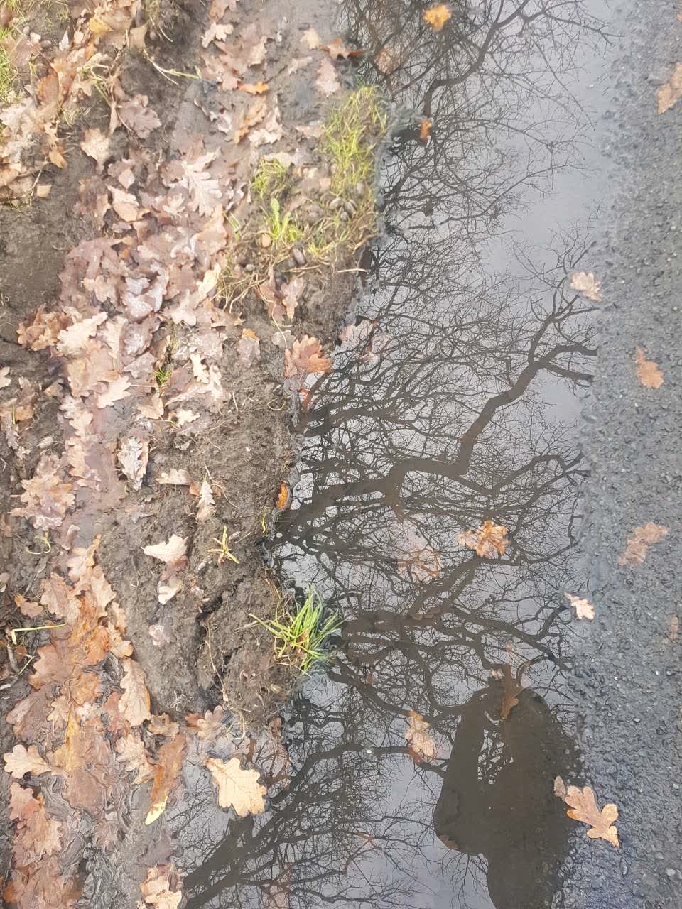 The photograph attached to this roading/streets report