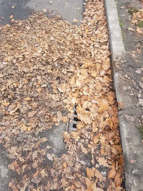 Roading/Streets, a report photo