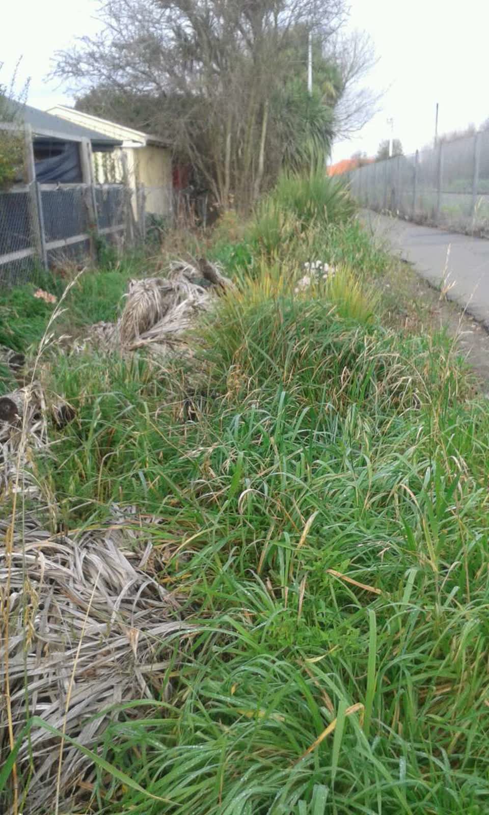 The photograph attached to this parks report