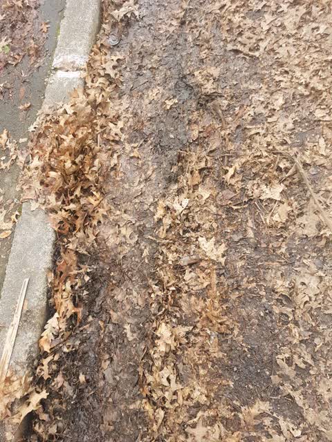 Roading/Streets, a report photo