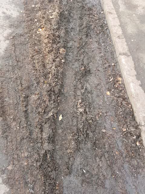 Roading/Streets, a report photo