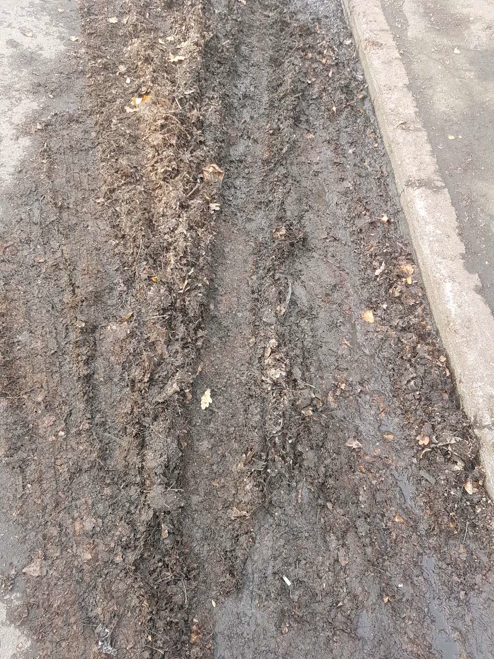 The photograph attached to this roading/streets report