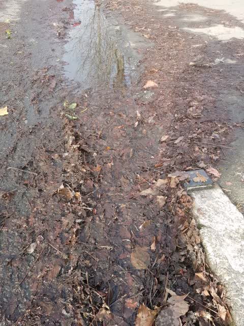 Roading/Streets, a report photo