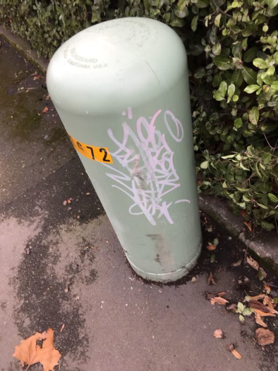 The photograph attached to this graffiti report