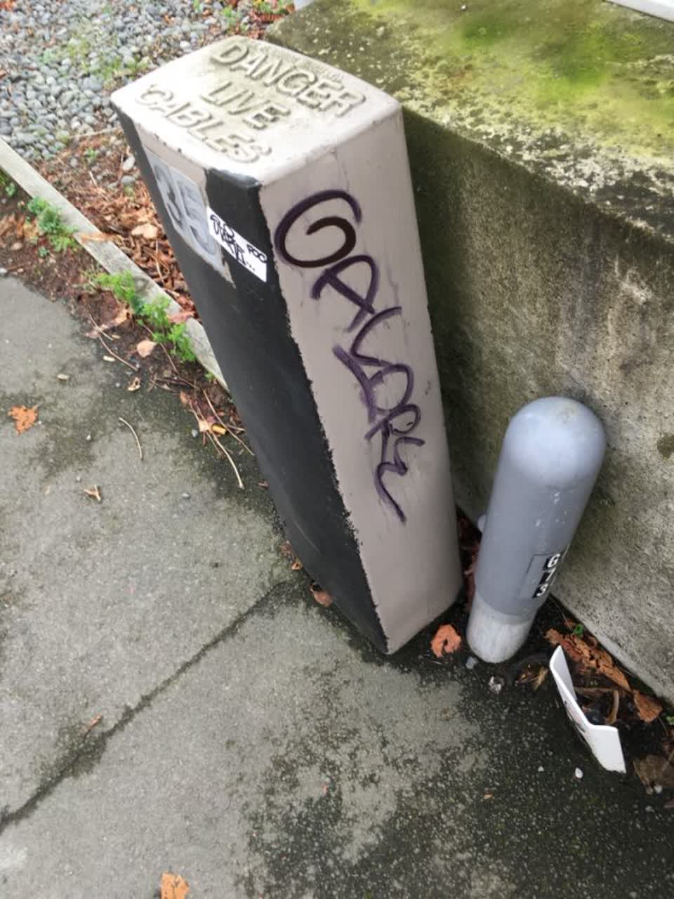 The photograph attached to this graffiti report