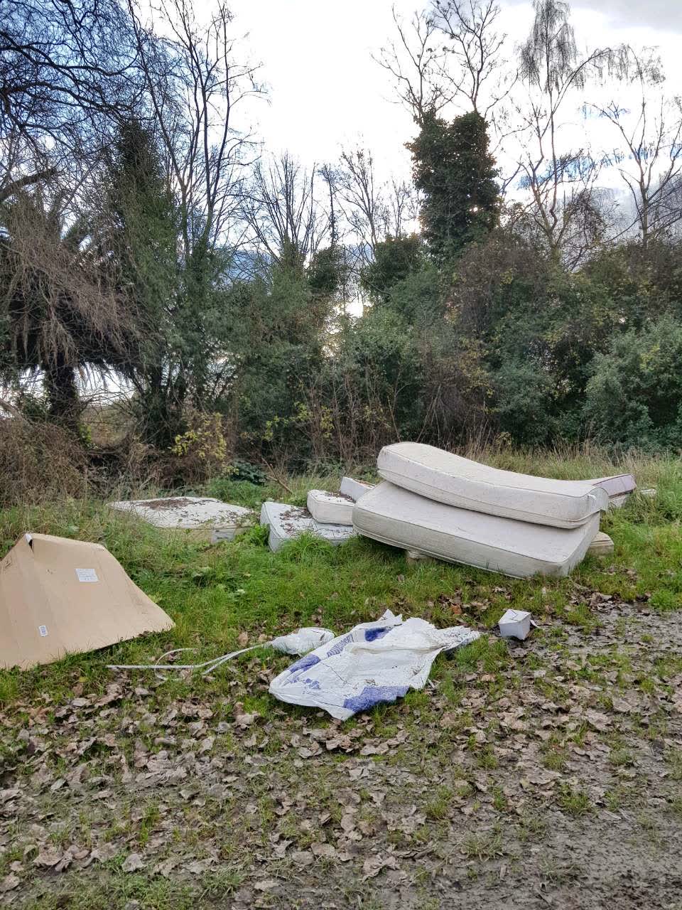 The photograph attached to this rubbish/recycling report