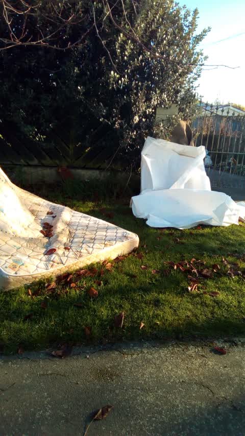 Rubbish/Recycling, a report photo