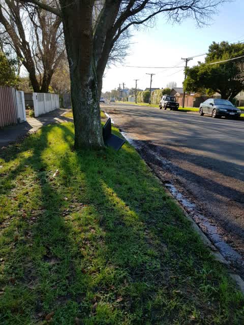 Rubbish/Recycling — a report photo