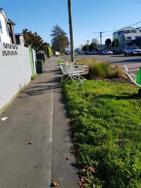 Rubbish/Recycling, a report photo