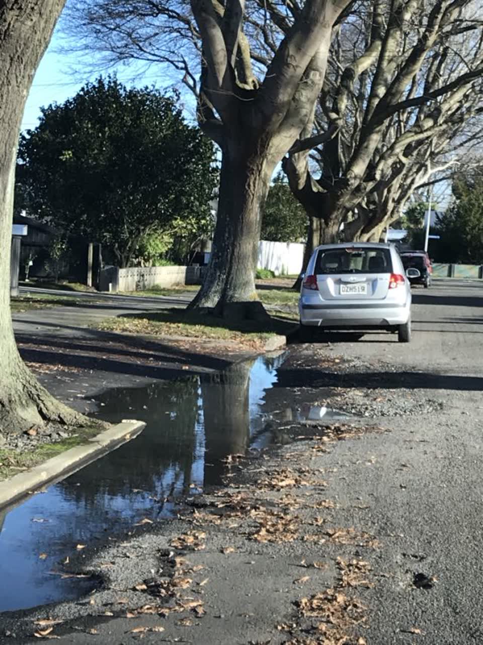 The photograph attached to this roading/streets report